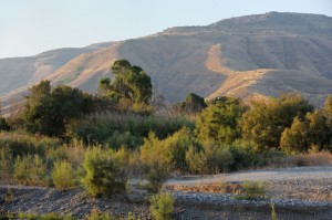 Shore of lake Kinneret in the morning